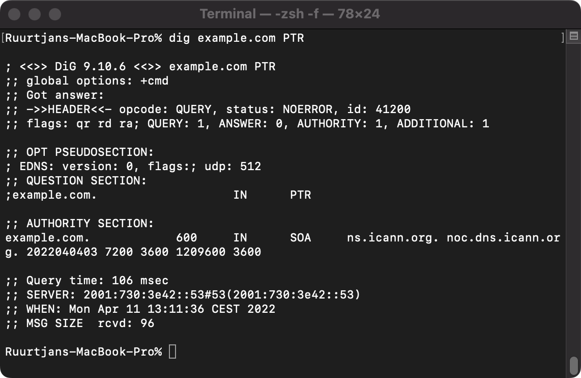 Example output of a reverse DNS lookup